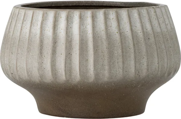 Assie, Grå, grå, kruka