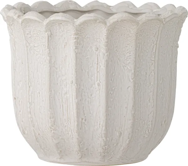 Chaca, Glas, vit, kruka